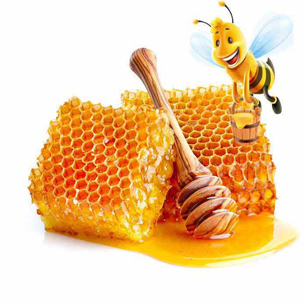 حالت عمومی خوب مادران باردار با استفاده از عسل طبیعی